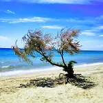 Seaside Family In Lejlighed Paralia Dionisiou
