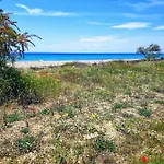 Seaside Family In Lejlighed Paralia Dionisiou