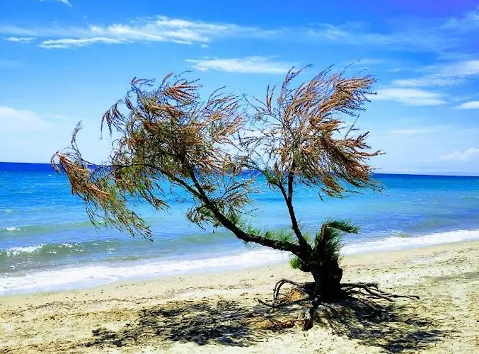 Seaside Family In Apartament Paralia Dionysiou