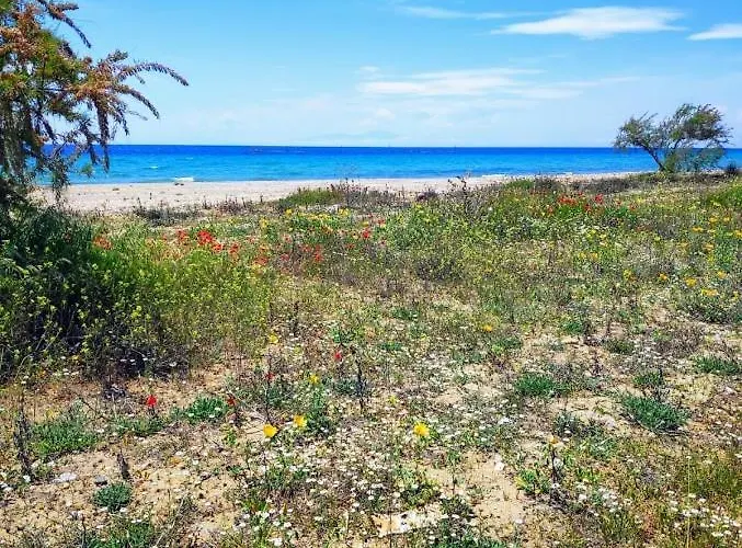 Seaside Family In Apartament Paralia Dionysiou