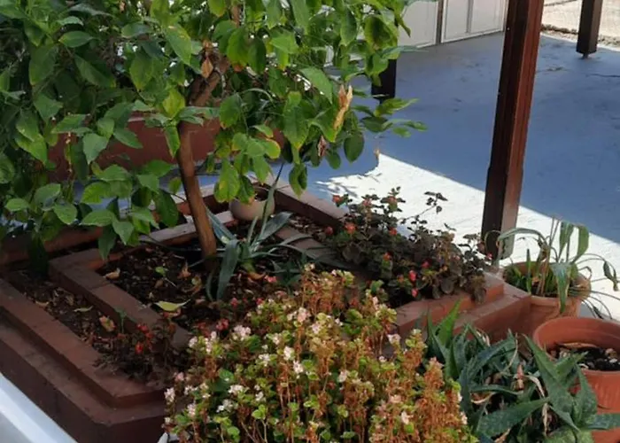 Seaside Family In * Paralia Dionysiou