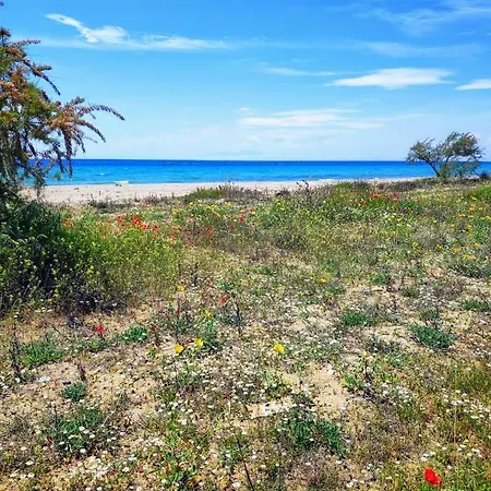 Seaside Family In Lägenhet Paralia Dionysiou