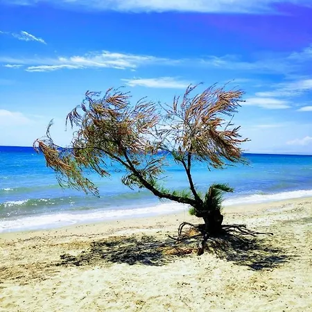 Seaside Family In Apartamento Paralia Dionysiou