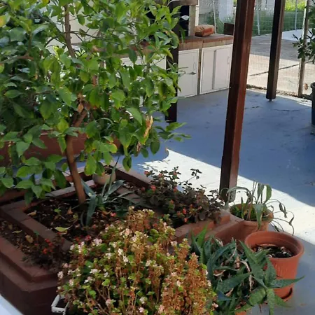 Apartament Seaside Family In